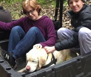 Un homme sauve un chien aveugle perdu dans les bois pendant une semaine 7 Ils sauvent Sage de la forêt