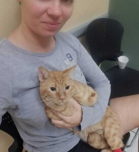 Un chat né avec 2 pattes montre qu'il n'a pas besoin de 4 pattes pour être heureux 4 Joey et maman