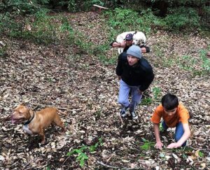 Un homme sauve un chien aveugle perdu dans les bois pendant une semaine 5 Sage sauvetage