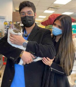 Un chat s'approche des gens et leur demande de le ramener à la maison après avoir erré dans les rues 7 Un couple adopte Vinny