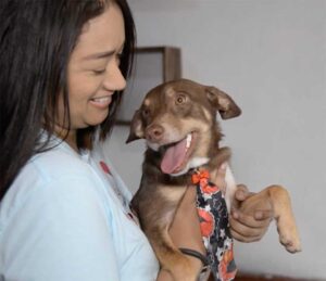Vidéo: La famille n'arrive pas à croire que leur chien perdu est de retour à la maison 5 Brownie avec sa famille