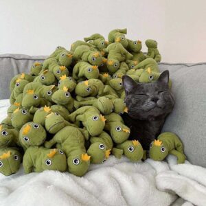 Ce chat est tellement obsédé par son jouet grenouille que sa famille décide de tout lui acheter 5 Chat dort avec ses grenouilles jouets