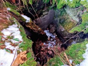 Un chien héros conduit son père humain dans un trou où un chien perdu a été piégé 5 Trou piégé de Gucio