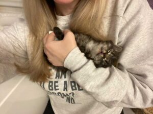 Une chatte ne peut pas arrêter de sourire après avoir trouvé une famille pour l'aider avec son seul chaton 5 adorable minou
